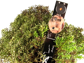 Just wait till your 57....