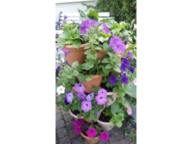 Just wait till your 57....